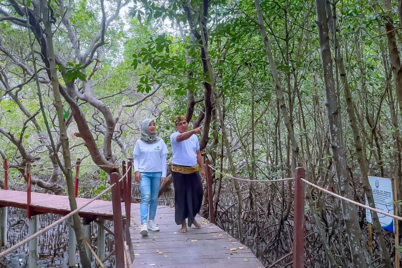 Bale Mangrove Jerowaru: Surga Alam Instagramable yang Wajib Dijaga