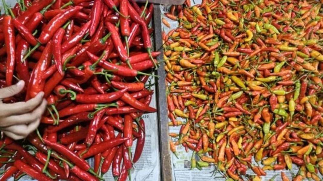 Update Harga Pangan Nasional 27 November 2025: Cabai dan Telur Masih Mahal