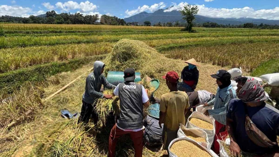 Bulog Terapkan Pembayaran Digital, Semua Petani Wajib Miliki Rekening Bank
