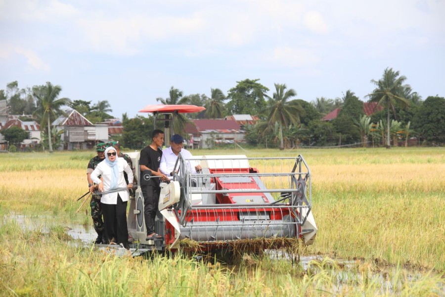 Bulog Waikabubak Siap Tampung Hasil Panen Petani, Optimisme Ketahanan Pangan di Sumba Barat
