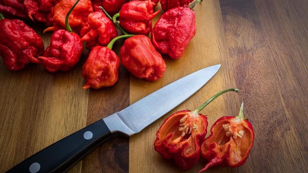 Apa Itu Carolina Reaper dan Bahayanya yang Perlu Diketahui