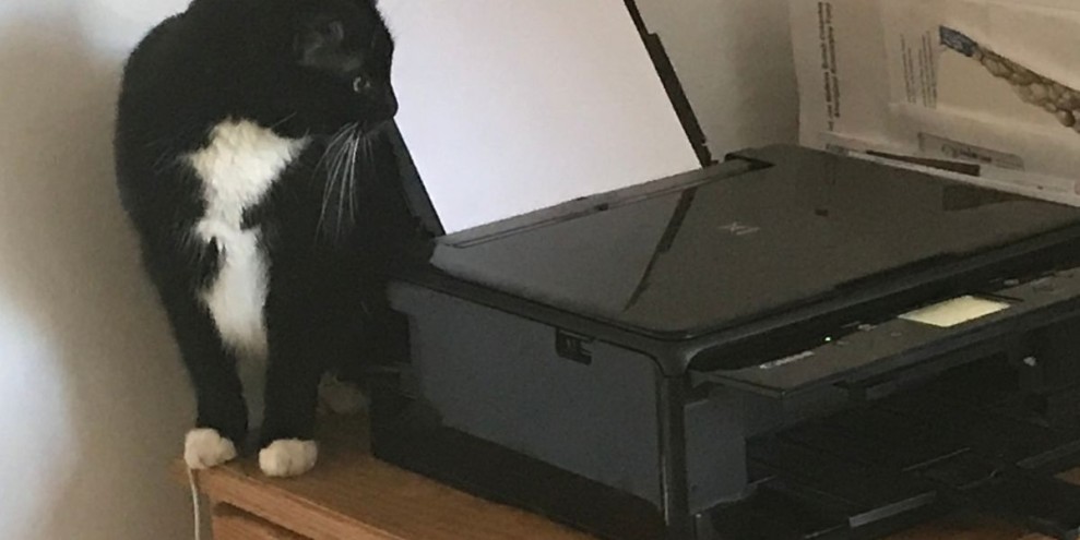 Rekomendasi Printer untuk Mahasiswa, Terbaik dengan Harga Terjangkau