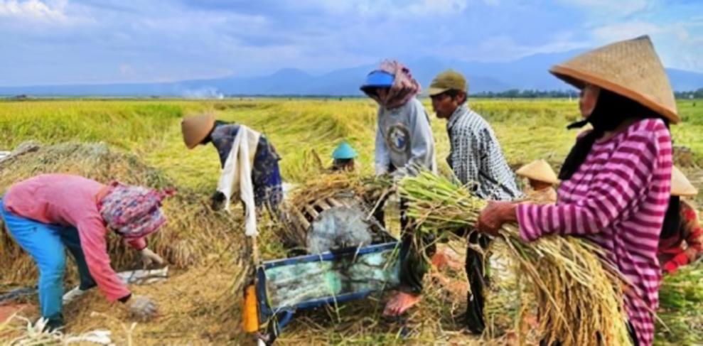 Bulungan Dorong Industri Pertanian Unggulan