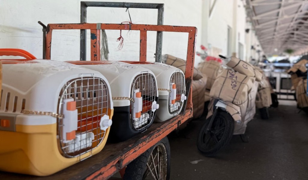 KAI Logistik Tingkatkan Layanan Pengiriman Hewan Peliharaan Aman dan Nyaman