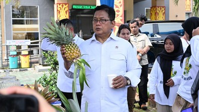 Festival Nanas Dorong Komoditas Unggulan Kawasan Transmigrasi Nasional