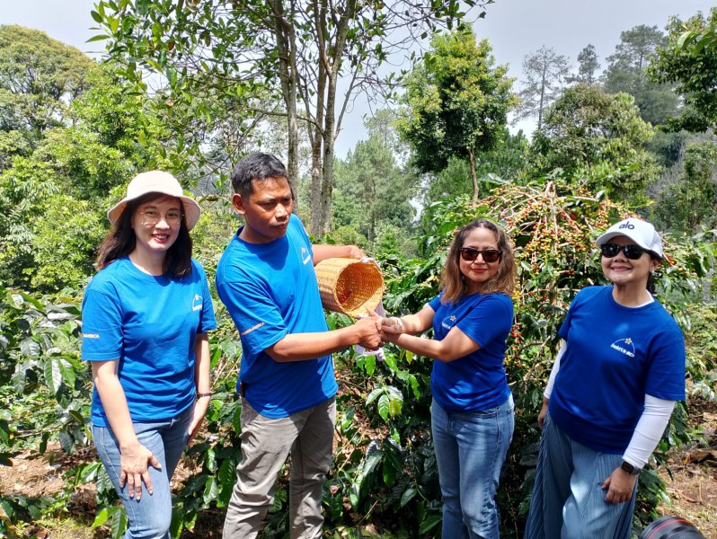 BCA Revitalisasi Kebun Kopi di Cikoneng Bogor, Tingkatkan Produksi hingga 350