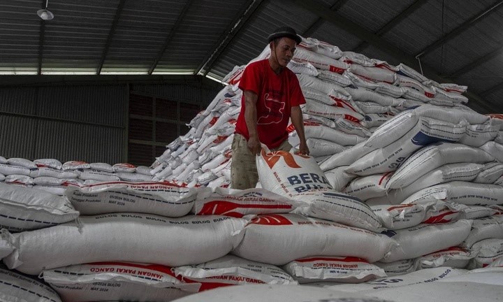 Kolaborasi Strategis Pemerintah Ciptakan Stok Beras Tertinggi Nasional