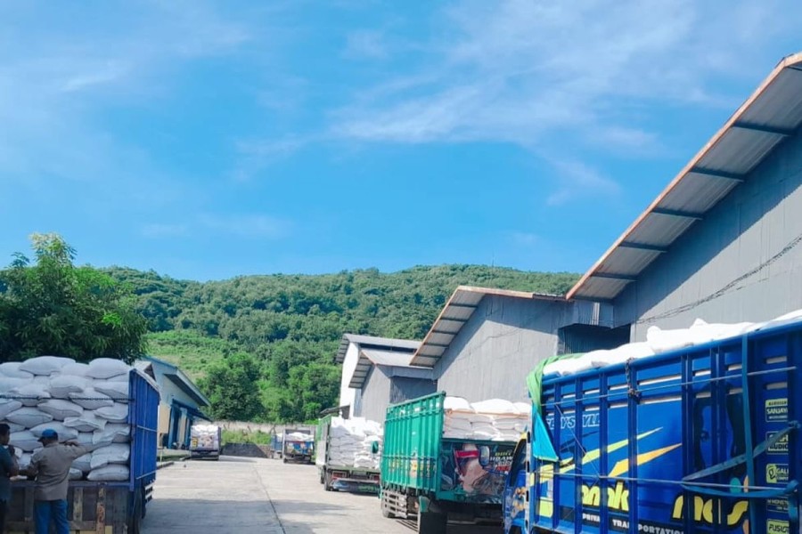 Tengkulak Beli Jagung Petani Sumbawa di Bawah HPP, Pemerintah Diminta Segera Tindak Tegas