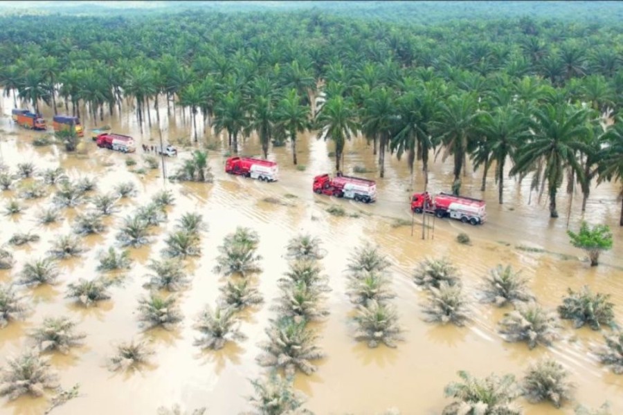 Refleksi Banjir Sumatra, BRIN Dorong Penyusunan Ulang Peta Kerawanan Bencana