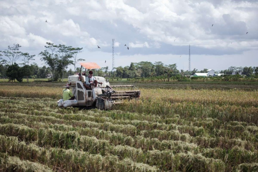 Modernisasi Pertanian Dorong Indonesia Wujudkan Swasembada Pangan Nasional