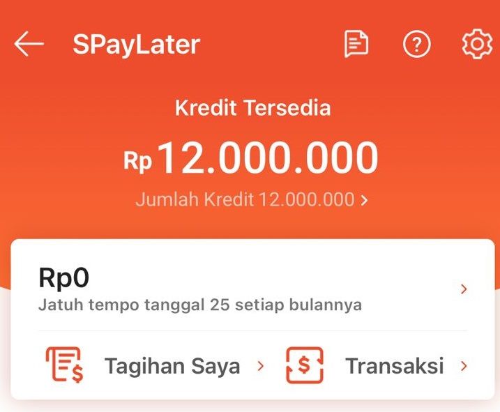 Penyebab Limit Shopee PayLater Berkurang dan Solusinya
