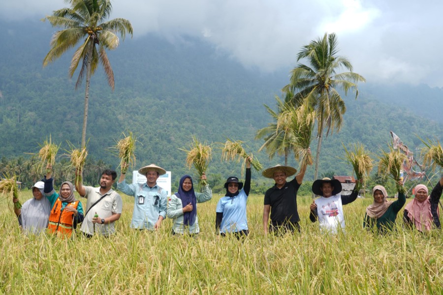 Petani di Morowali Jadi Fokus PT Vale dalam Program Padi Organik Ramah Lingkungan