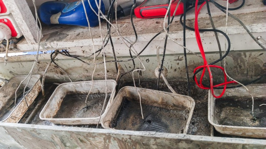 Tingkatkan Energi Terbarukan: Dosen ITS Ubah Limbah Organik Jadi Energi Biolistrik Melalui Teknologi Microbial Fuel Cell