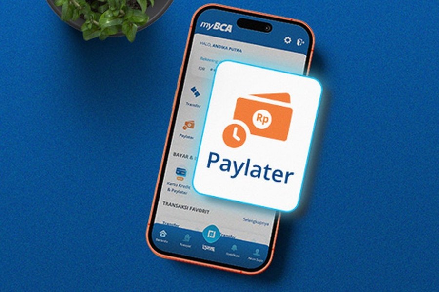 Layanan Paylater Bank Tumbuh 29,72 Persen di Juni 2025