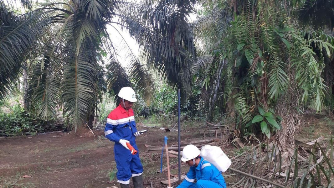 Elnusa Percepat Eksplorasi Migas Indonesia Timur Pakai Teknologi