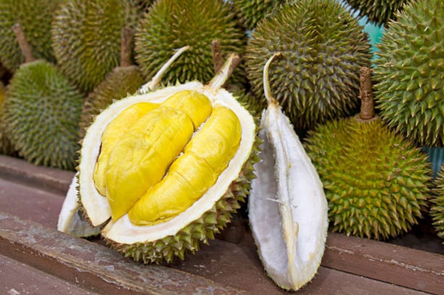 Rekomendasi 9 Tempat Makan Durian di Jogja dengan Pilihan Terlengkap Musim 2025