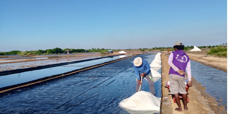 Produksi Industri Garam Indonesia Dipacu Agar Capai Kemandirian Pangan dan Industri