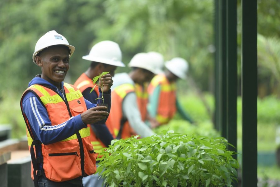 Freeport Indonesia Dorong Ekonomi Papua Lewat Lapangan Kerja, Infrastruktur, hingga Dana Bergulir