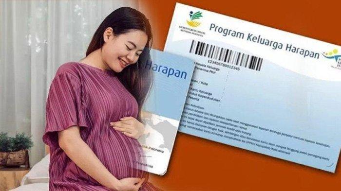 Bansos Ibu Hamil Agustus 2025: Cara Daftar Mudah Lewat Aplikasi