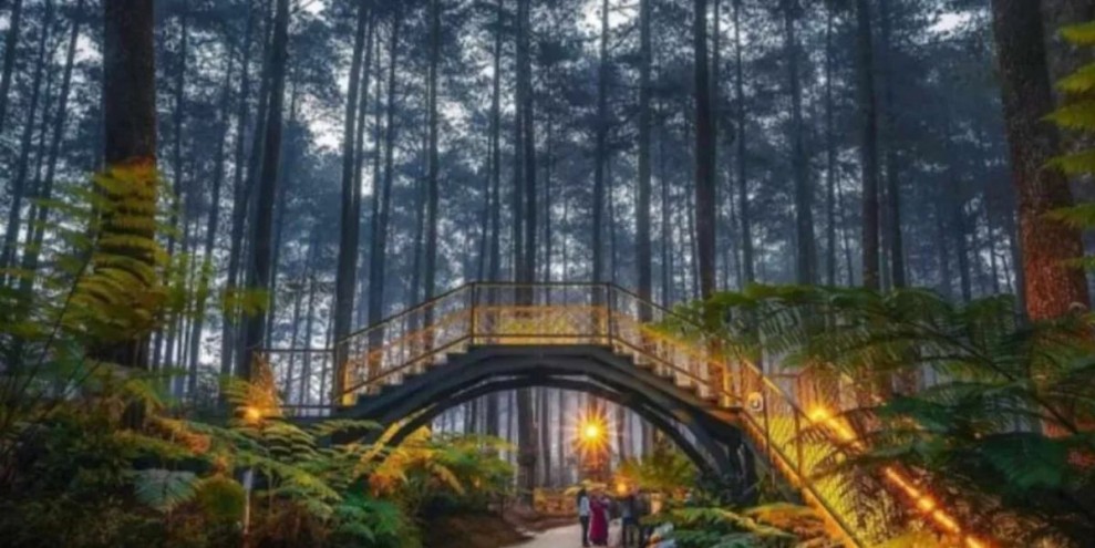 12 Wisata Alam Bandung, Destinasi Terbaik untuk Menyegarkan Jiwa & Raga