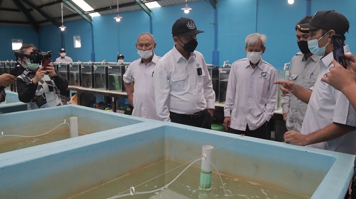 Pentingnya APBN untuk Sektor Perikanan: Kepala DJPb Sumut Soroti Alokasi Anggaran dan Peran UMKM