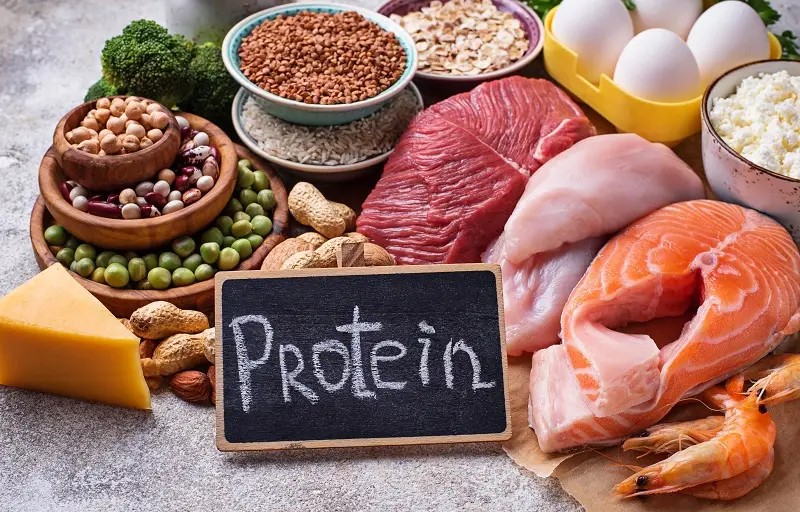 Beragam Pilihan Sumber Protein Tinggi untuk Tubuh Sehat Selain Telur