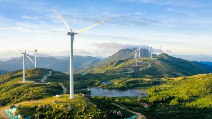 FUTR Perkuat Posisi Lewat Proyek Energi Hijau di Bali