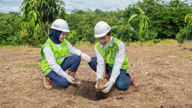 BUMN Tambang Tunjukkan Komitmen Nyata Praktik Pertambangan Hijau