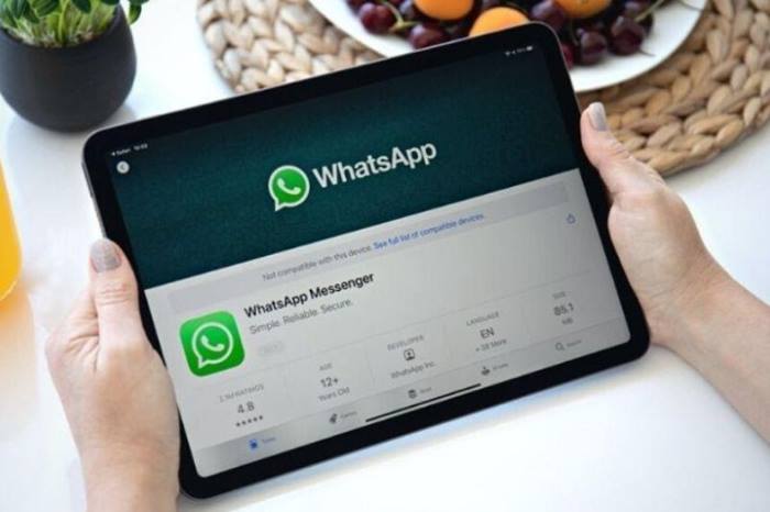 Akhirnya! WhatsApp Resmi Rilis Aplikasi Native untuk iPad Setelah Bertahun-tahun Ditunggu