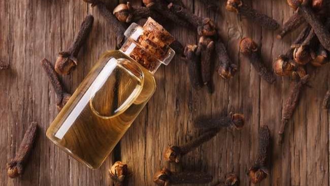 Khasiat Air Rebusan Cengkeh, Bantu Jaga Kesehatan Tulang dan Pencernaan