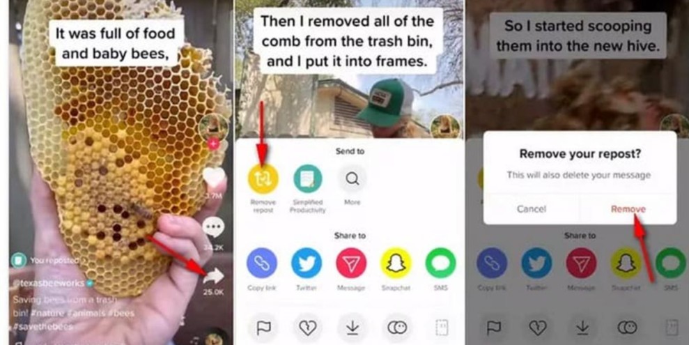 Cara Menghapus Postingan Ulang di TikTok: Panduan Lengkap untuk Pemula