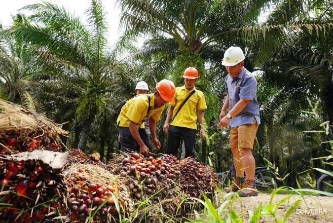 Harga CPO Melemah Tipis, Pasar Sawit Masih Optimistis Harga CPO Melemah Tipis, Pasar Sawit Masih Optimistis