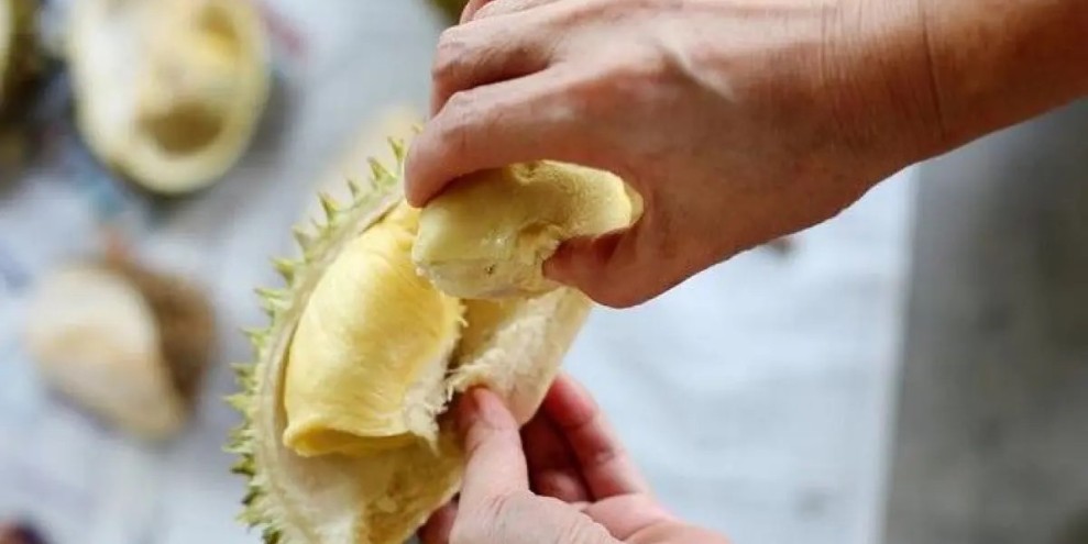 Bahaya Kombinasi Gulai Kambing dan Durian Menurut Menkes