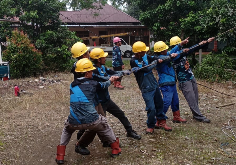 PLN ULP Sinjai Tingkatkan Keandalan Listrik Melalui Rekonstruksi Jaringan dan Pemangkasan Pohon