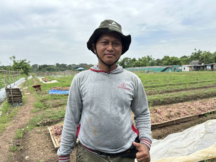 Kisah Sukses Petani Hortikultura Batusari Peroleh Manfaat Besar Bantuan Pemerintah Kota