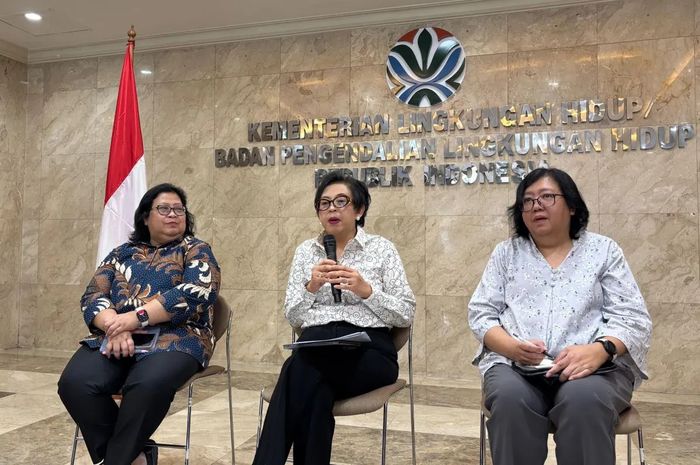 Cabut Izin Kelayakan Lingkungan Perusahaan Tambang Seng dan Timbal, KLH Tegaskan Tidak Hambat Investasi