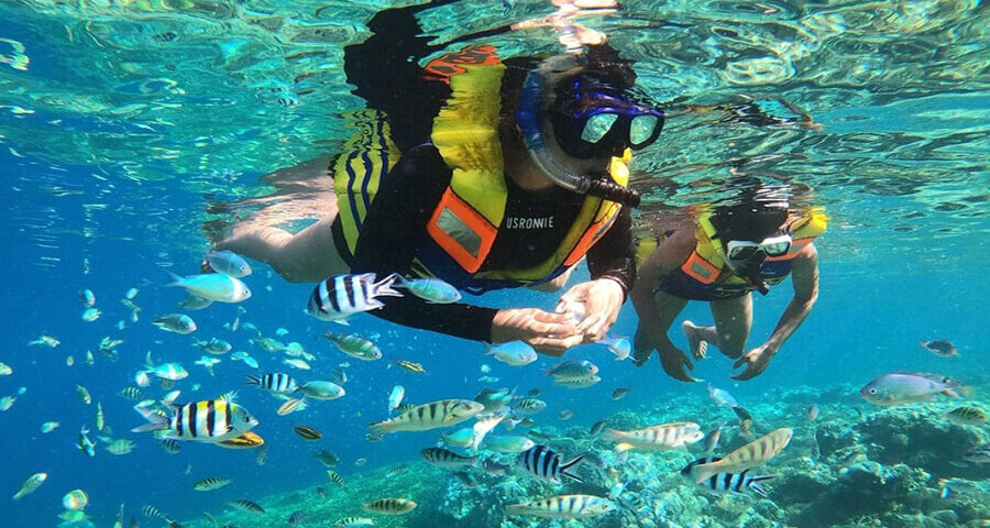 Pemkab Kepulauan Seribu Latih Warga Jadi Penyelam Mahir, Dorong Wisata Bahari Berkualitas dan Berkelanjutan