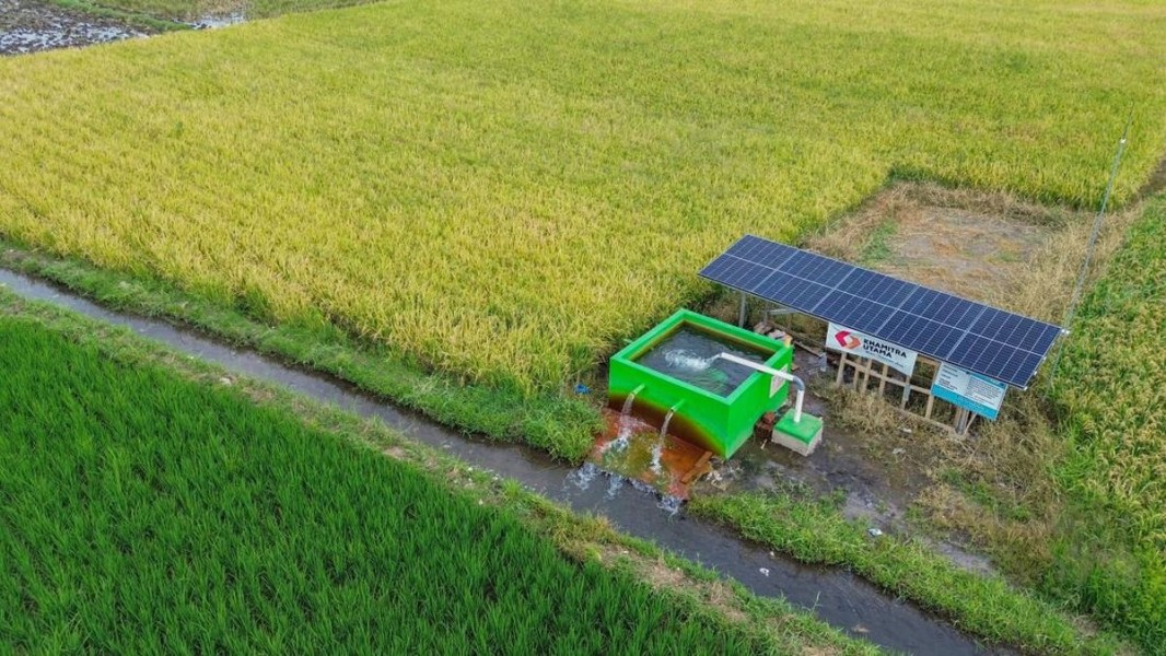 Pompa Surya Ubah Wajah Pertanian Kebumen, Sawah Tak Pernah Kering