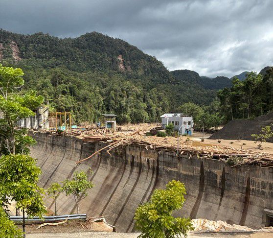 Bukan Sekadar Pembangkit Listrik Hijau, PLTA Sipansihaporas Cegah Banjir Kayu saat Bencana Sumatra
