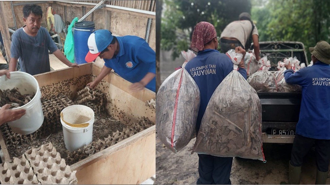 Indocement Kembangkan Ekonomi Sirkular dan Konservasi Hayati Lewat Jangkrik BOS