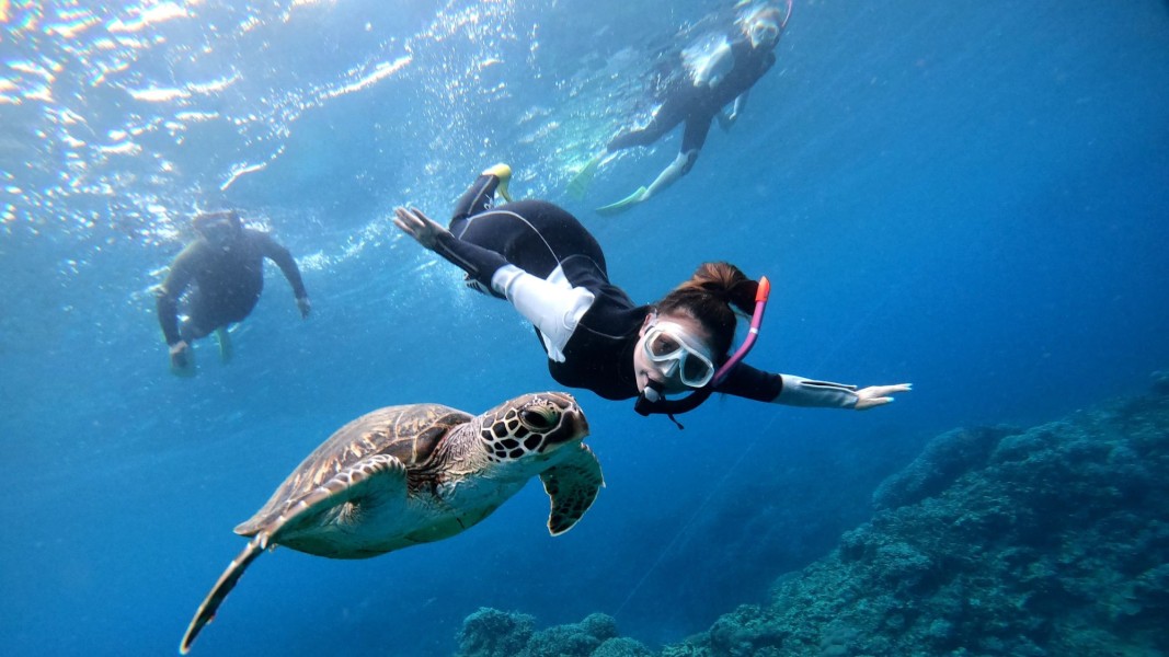 Snorkeling: Aktivitas Seru Menikmati Dunia Bawah Laut