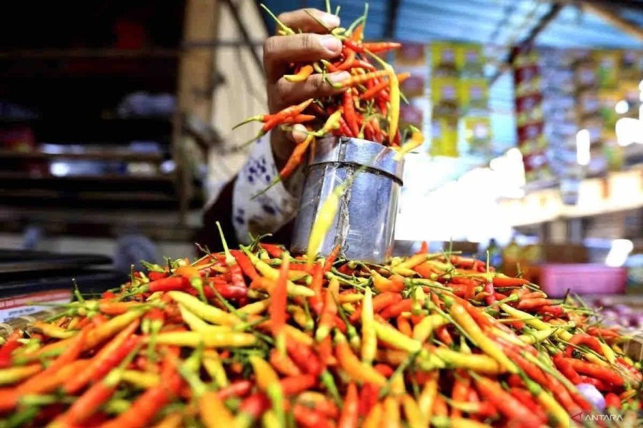Kenaikan Harga Cabai dan Sembako di Jogja