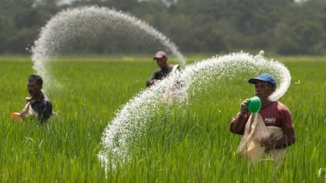 Menteri Pertanian Tegas Lindungi Petani dari Penjualan Pupuk Bersubsidi di Atas Harga Eceran Tertinggi