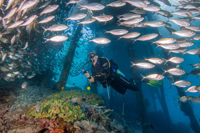 Pemerintah Perkuat Pengawasan dan Tindakan Korektif di Sektor Pertambangan Raja Ampat: Upaya Menjaga Keseimbangan Ekologi dan Investasi