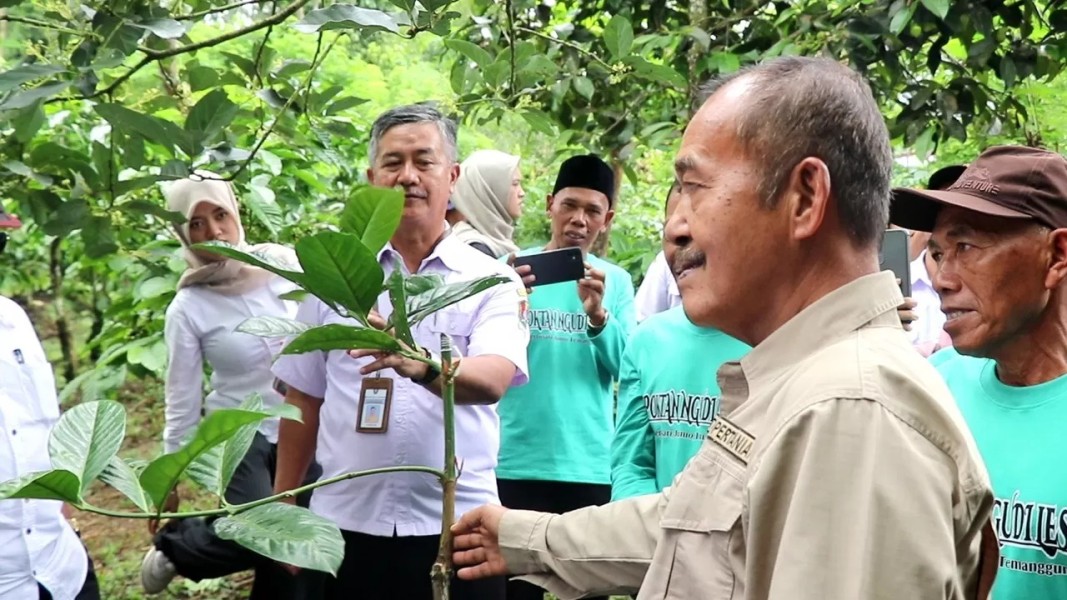 Misi Bupati Kepahiang Menimba Ilmu di Balik Kemasyhuran Kopi Temanggung