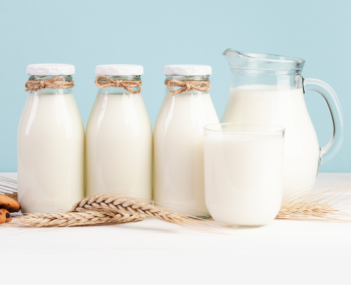 BEEF Perluas Peran dalam Program Susu MBG, Siap Impor 2 Juta Sapi untuk Pasokan Nasional