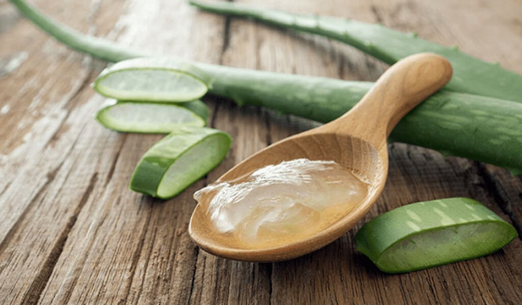 Standar Ilmiah Jamin Keamanan Konsumsi Produk Lidah Buaya