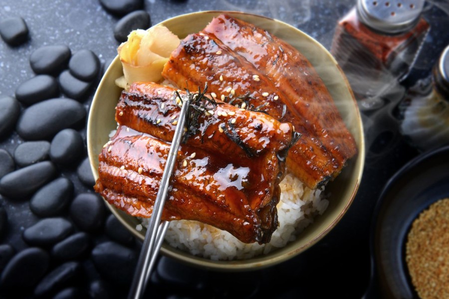 Pengalaman Kuliner Unagi Jepang Asli di Jakarta
