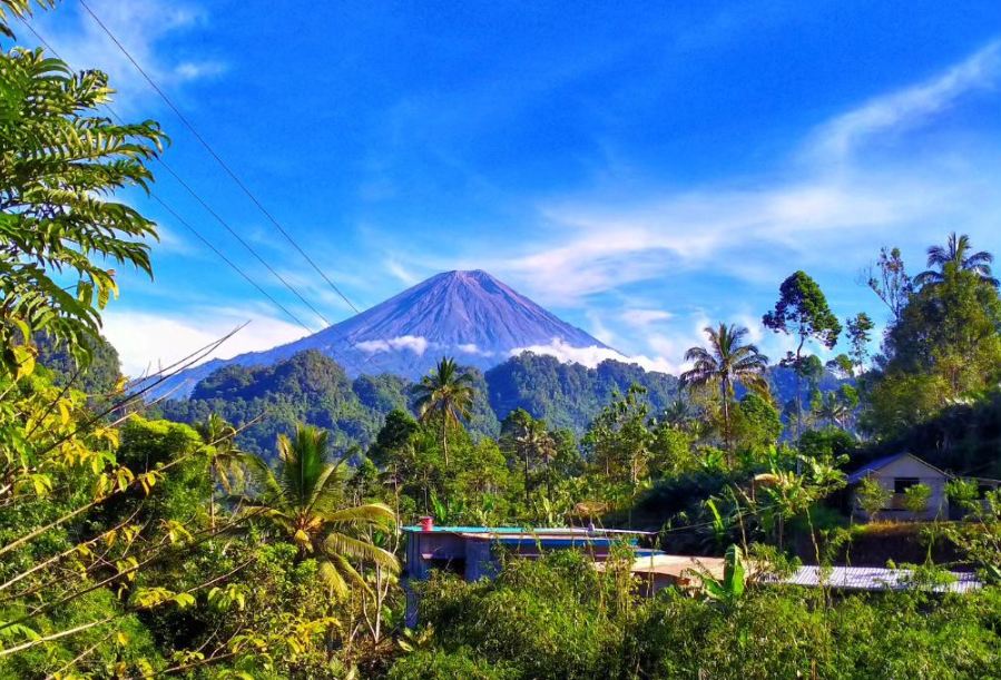 Pelanggaran Pendakian di Gunung Semeru: Tujuh Pendaki Ilegal Ditangkap, Akui kesalahan di Media Sosial