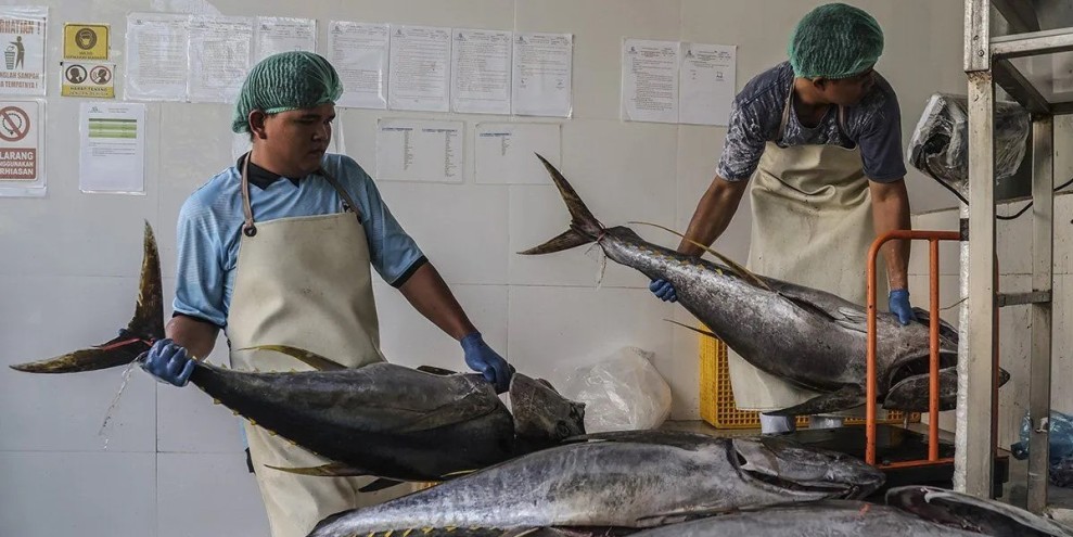 Ekspor Perikanan Indonesia ke Amerika Serikat Naik Signifikan Januari 2026